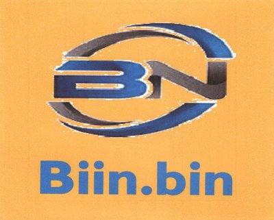 Trademark BIIN.BIN + LOGO