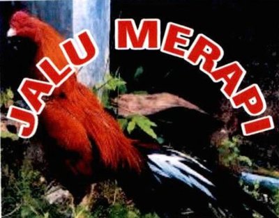 Trademark JALU MERAPI