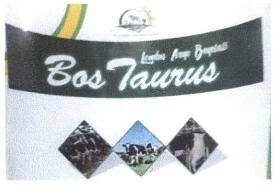 Trademark Bos Taurus