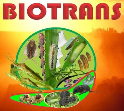 Trademark BIOTRANS