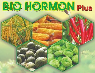 Trademark BIO HORMON PLUS