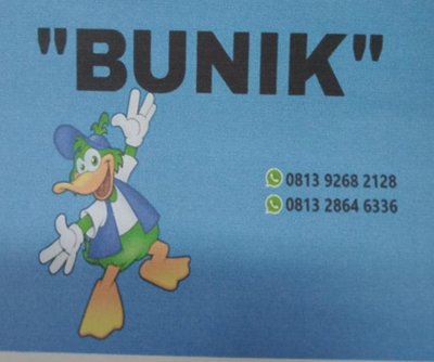 Trademark BUNIK