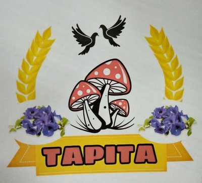 Trademark TAPITA