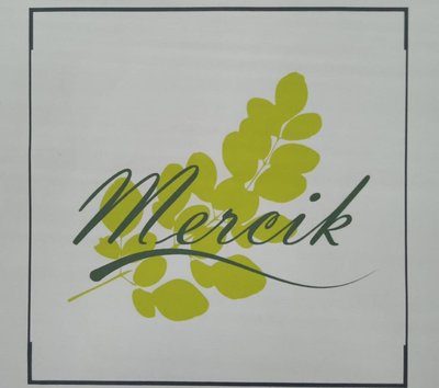 Trademark MERCIK