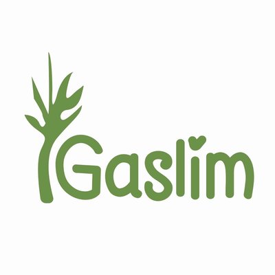 Trademark Gaslim