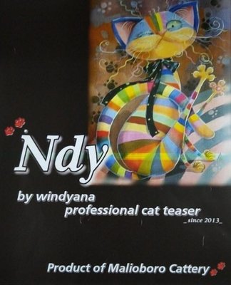 Trademark Ndy Product of Malioboro Cattery