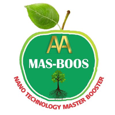 Trademark AA MAS-BOOS