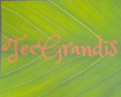 Trademark TecGrandis