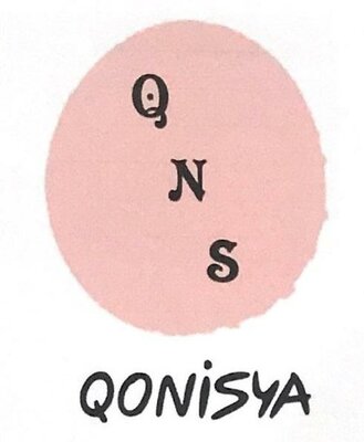 Trademark QNS