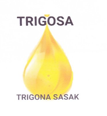 Trademark TRIGOSA