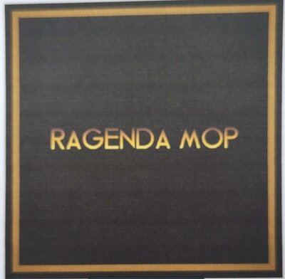 Trademark Ragenda Mop