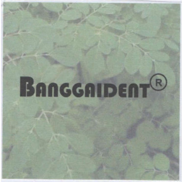 Trademark BAnGGAIDEnT