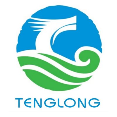 Trademark TENGLONG & LOGO