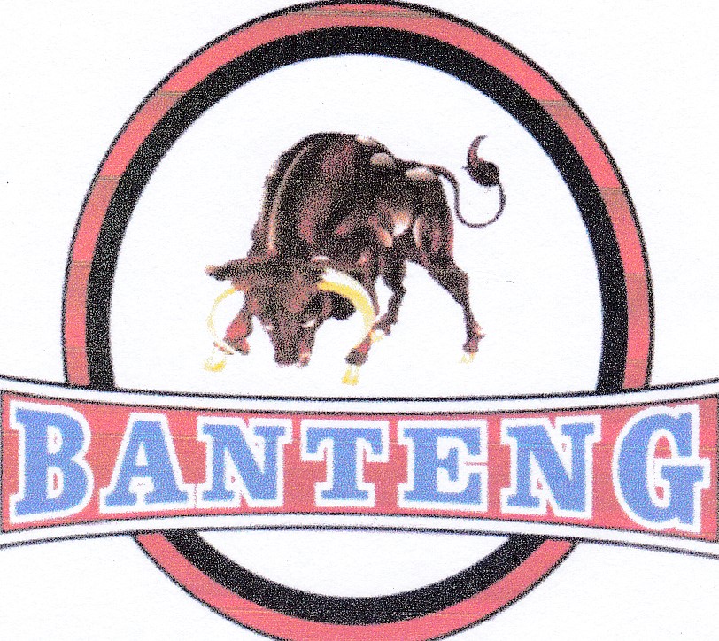 Trademark Banteng + Logo