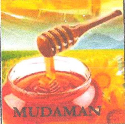 Trademark MUDAMAN + LUKISAN