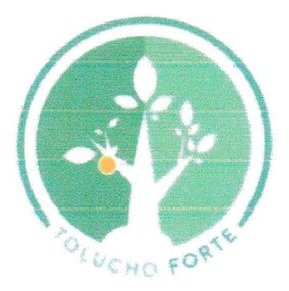 Trademark TOLUCHO FORTE + LOGO