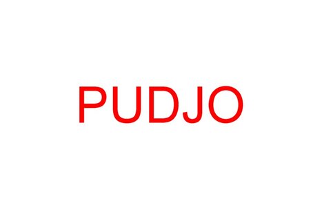 Trademark PUDJO