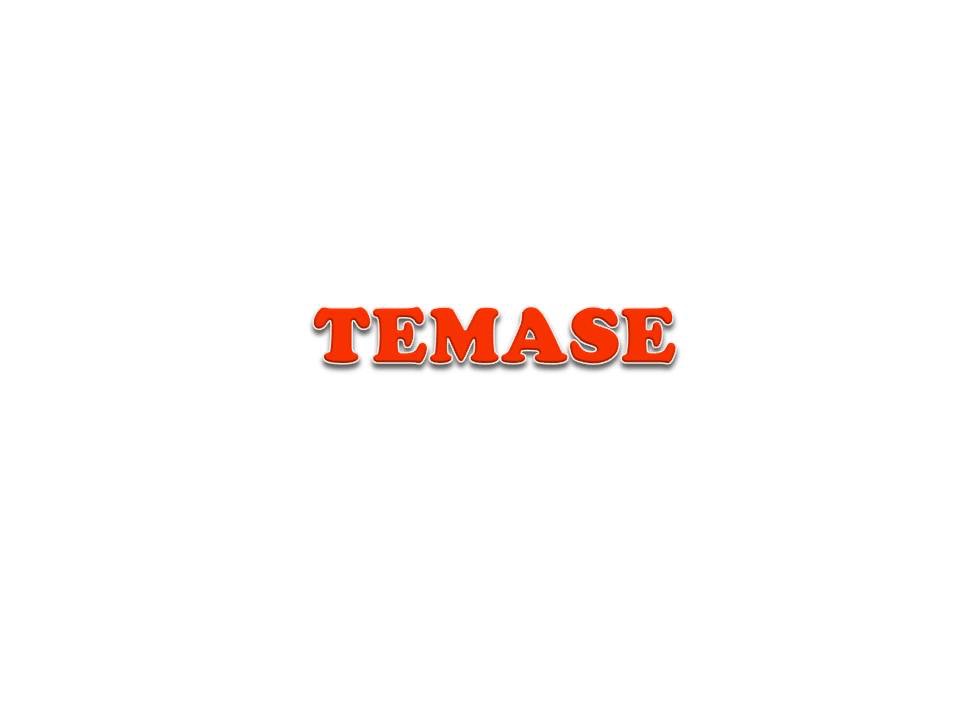 Trademark TEMASE