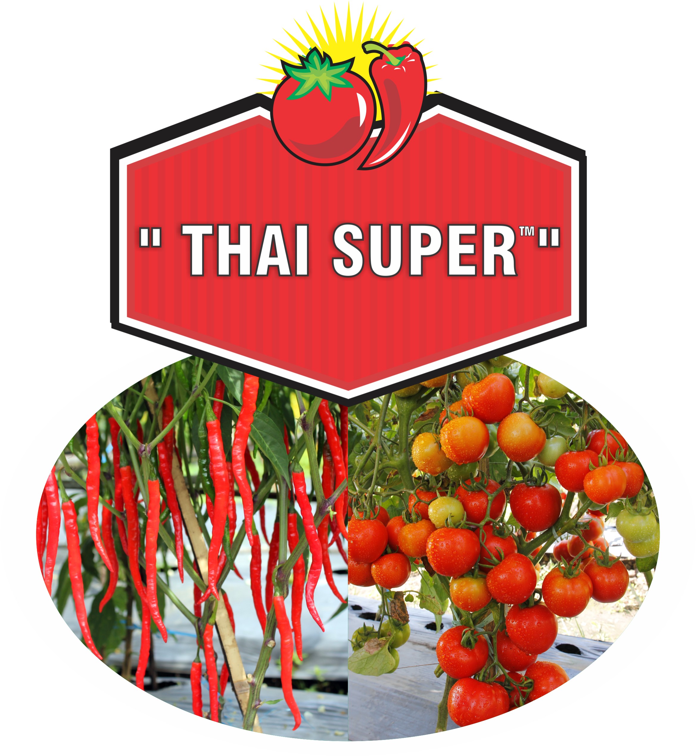 Trademark THAI SUPER