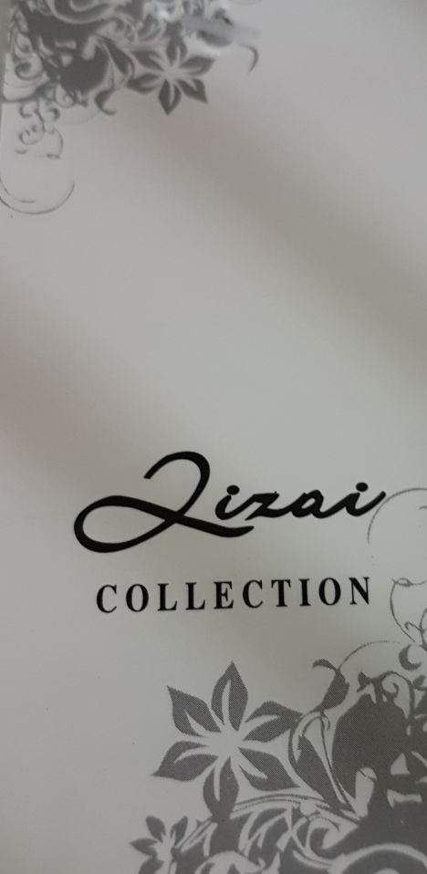 Trademark ZIZAI & LOGO