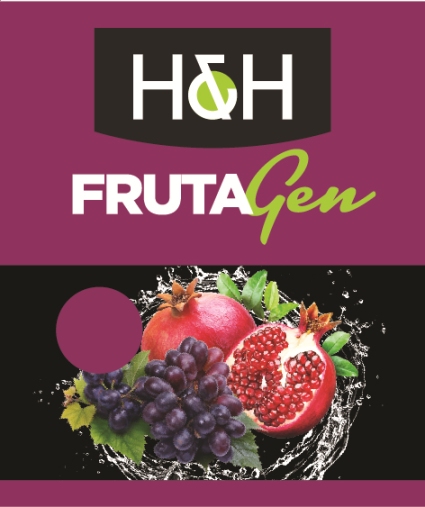 Trademark H&H FRUTAGEN