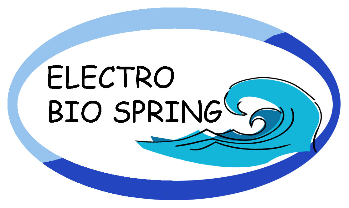 Trademark ELECTRO BIO SPRING + LUKISAN