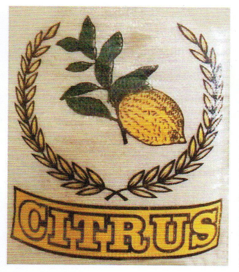 Trademark CITRUS