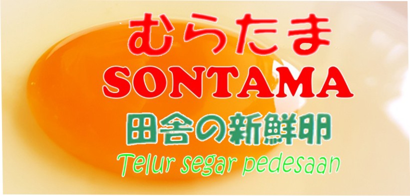 Trademark SONTAMA