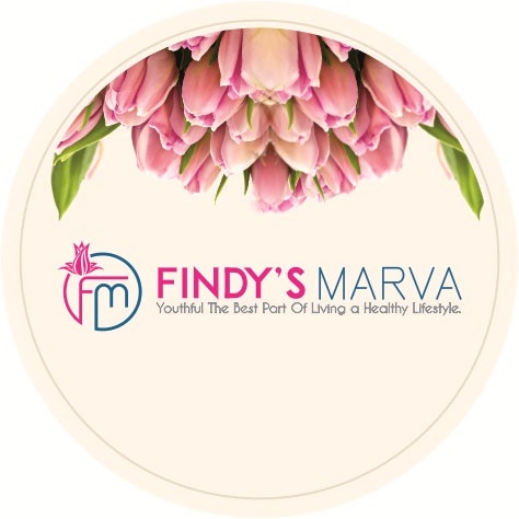 Trademark FINDY'S MARVA