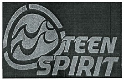 Trademark TEEN SPIRITDAN LOGO