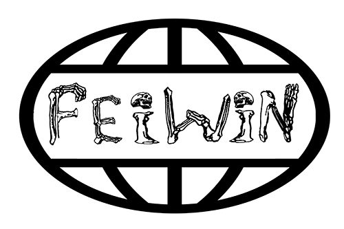 Trademark FEIWIN