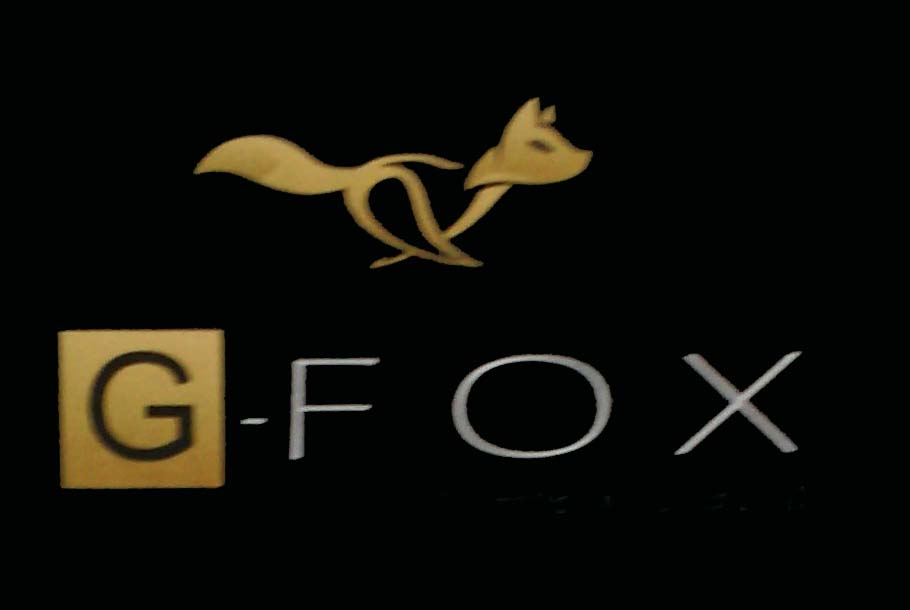 Trademark GFOX+ LOGO