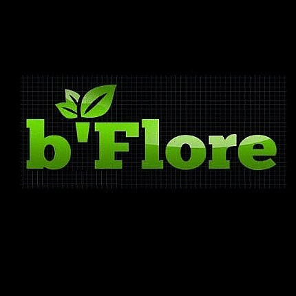 Trademark b'flore