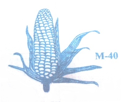 Trademark M-40 dan lukisan/logo Jagung.