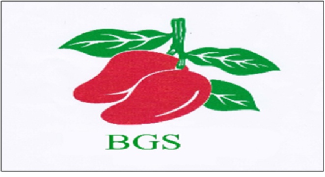 Trademark BGS + LOGO