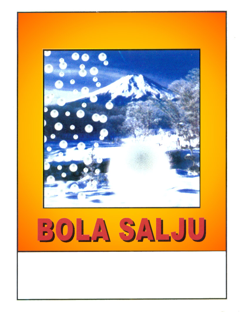 Trademark BOLA SALJU