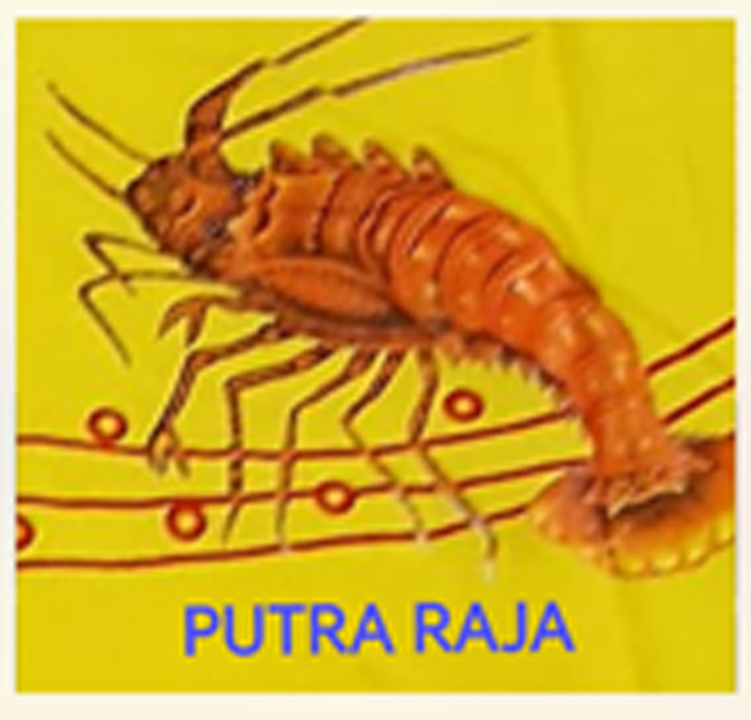 Trademark PUTRA RAJA