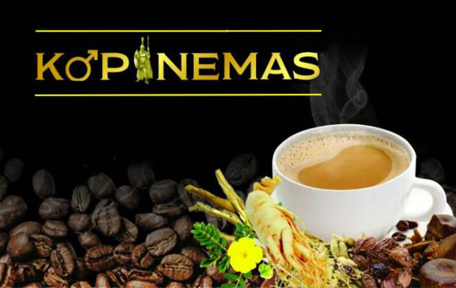 Trademark KOPINEMAS