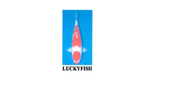 Trademark LUCKYFISH & LOGO