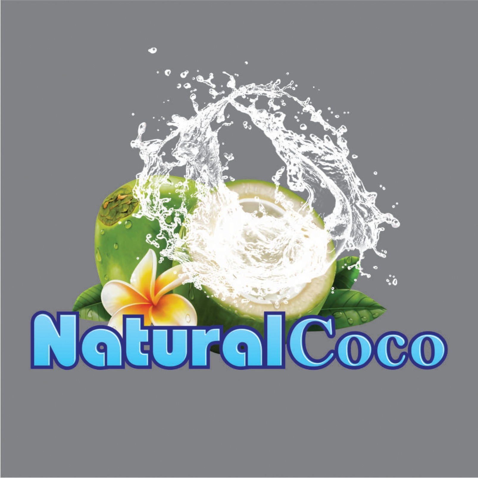 Trademark NATURAL COCO