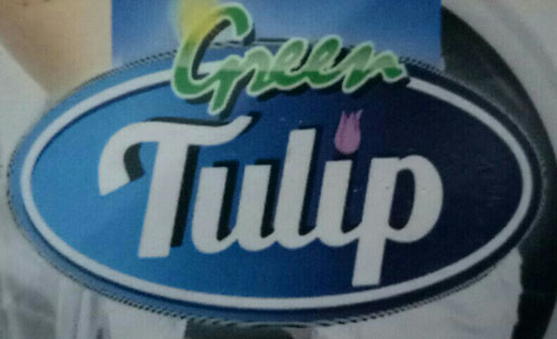 Trademark GREEN TULIP