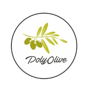 Trademark POLY OLIVE + Logo