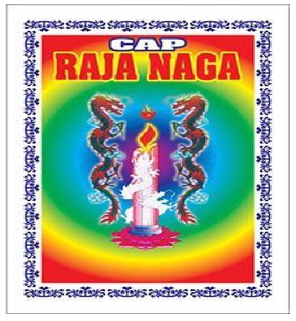 Trademark RAJA NAGA + LOGO