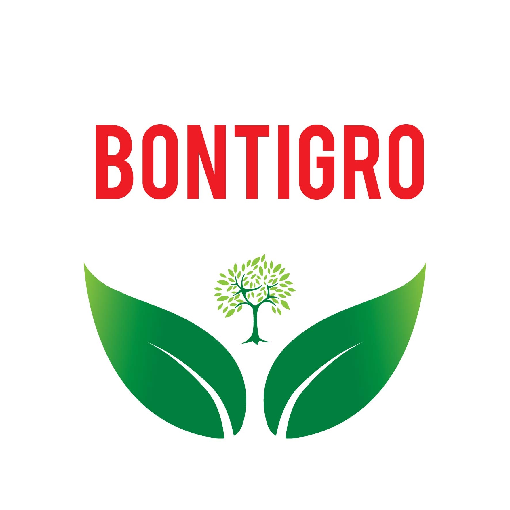 Trademark Bontigro