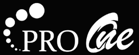 Trademark PRO ONE