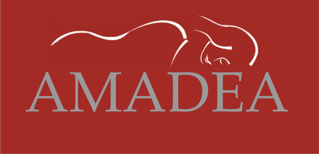 Trademark AMADEA