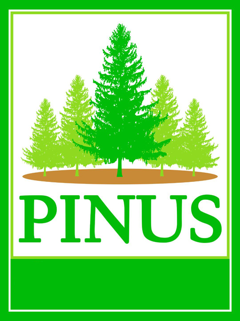 Trademark PINUS