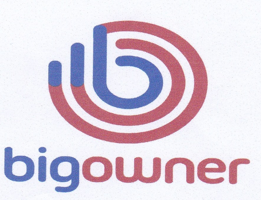 Trademark bigowner + logo