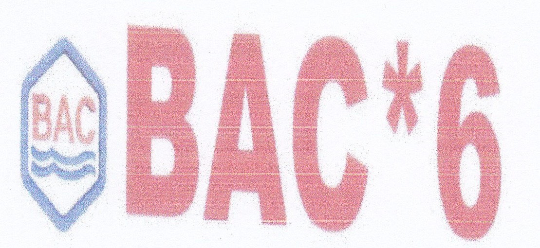 Trademark BAC*6 + LOGO