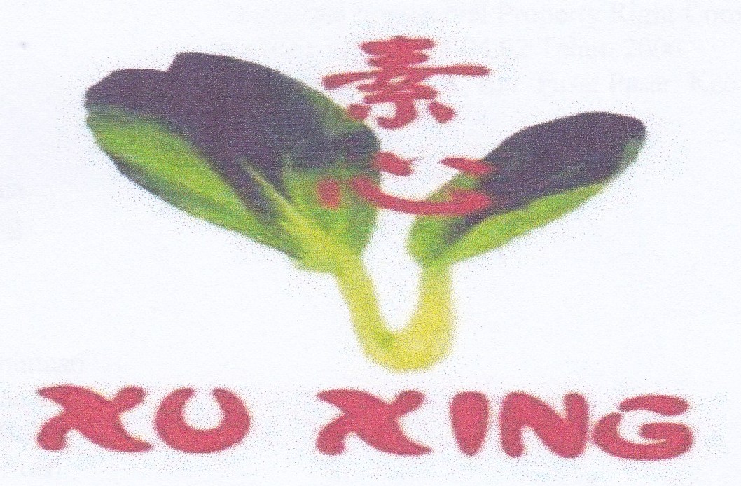 Trademark XU XING + LOGO